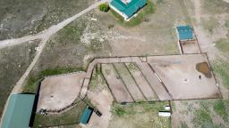 49773776-16