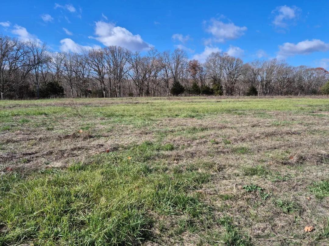 Versatile 15+ Acre Unrestricted Wooded Retreat – Montgomery County
