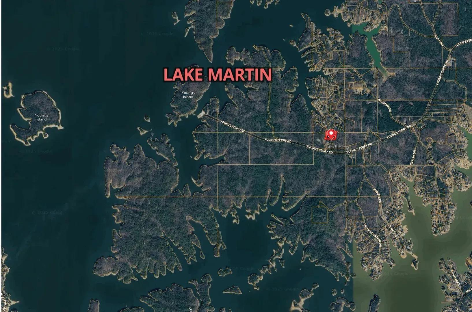 49784656-1