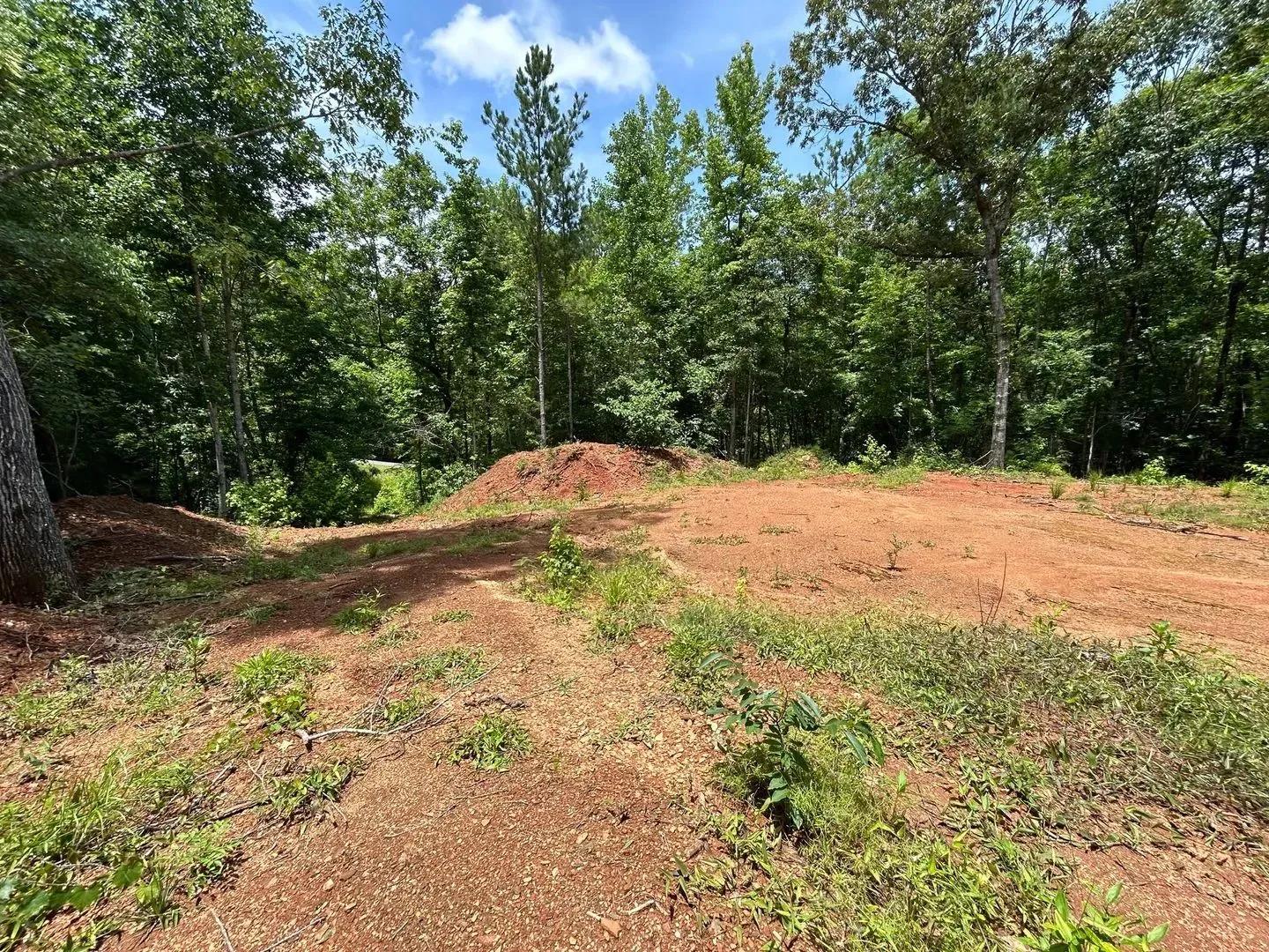 49784656-10
