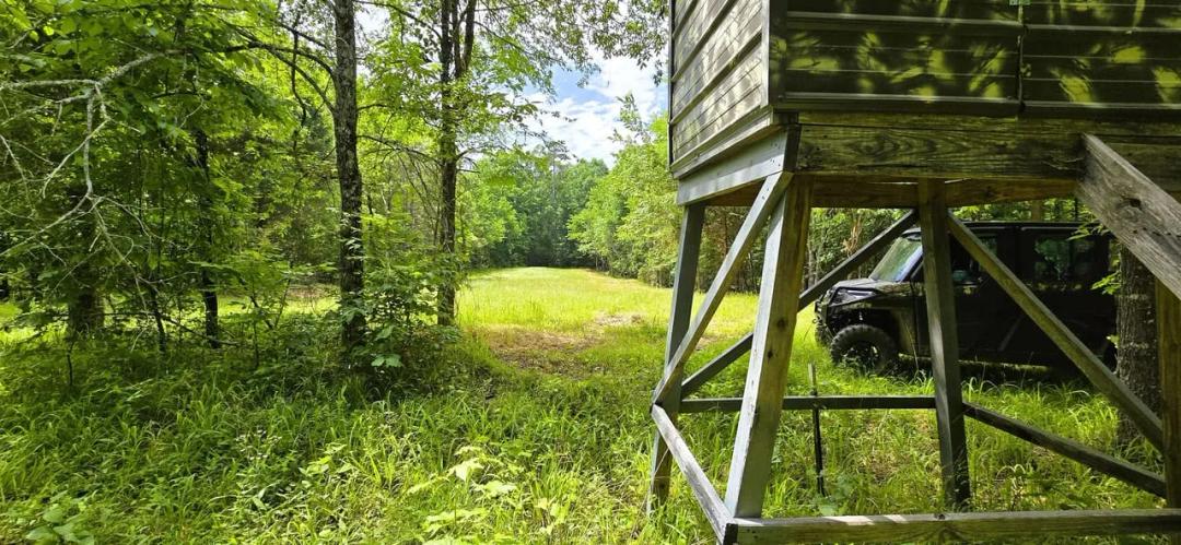 285+ - ACRES GATED HARDWOOD, PINE&WILDLIFE RETREAT