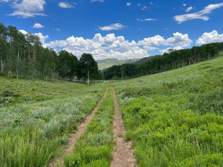 Cabin Hollow Ranch