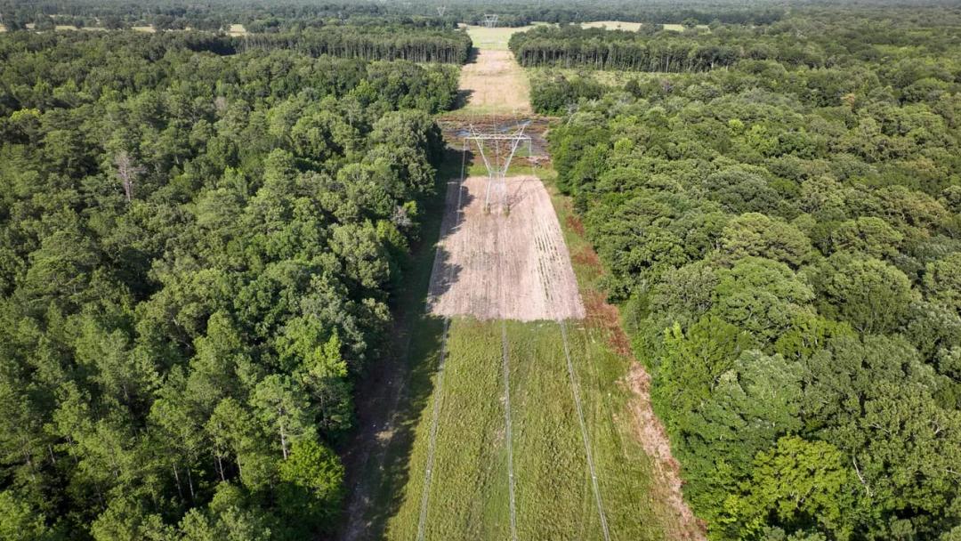 Clay County - 77.5 Acres - Mhoon Valley Honey Hole
