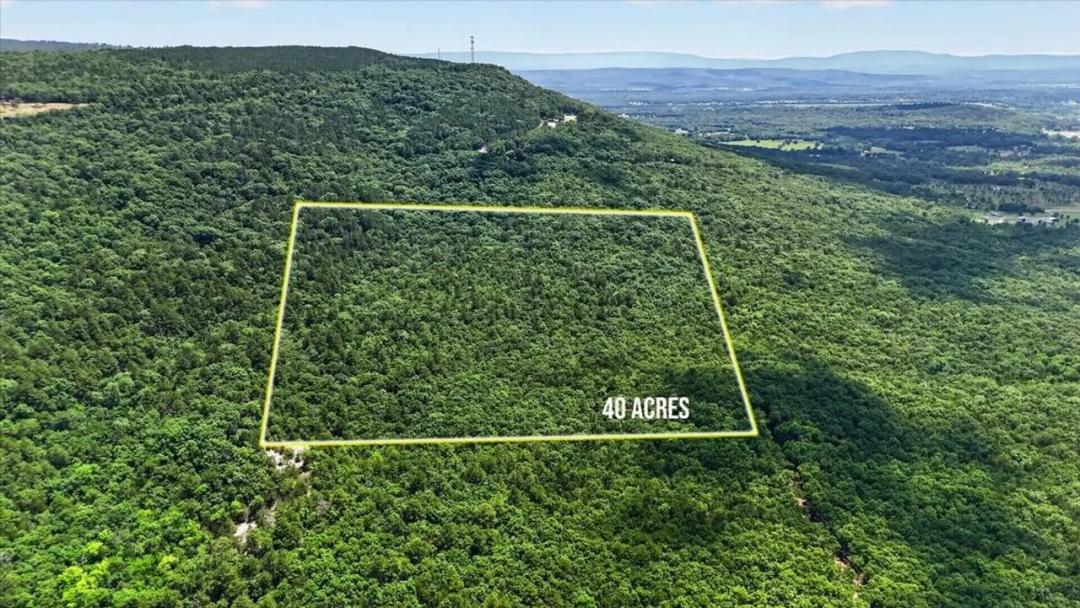 40 Acres on Little Bear Trail - Tract 3 