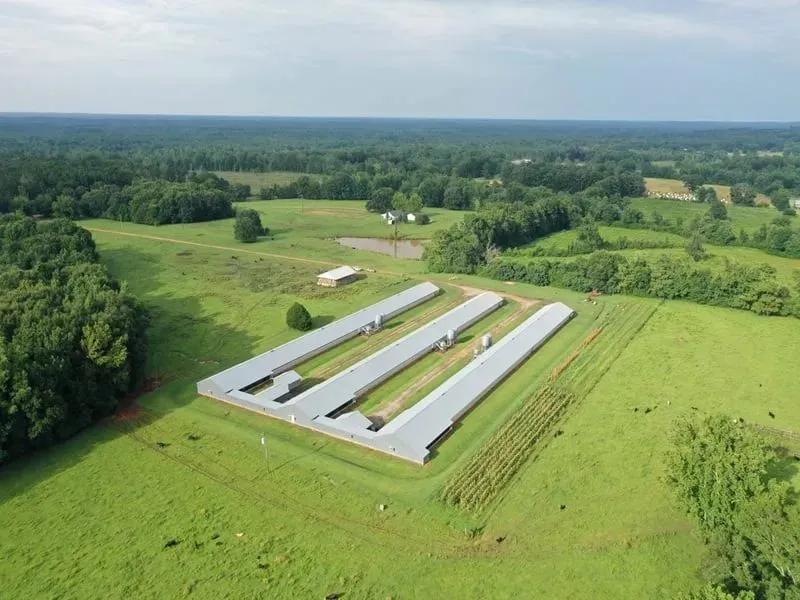 High Point Farm – Three House Breeder Farm – Clarke County, MS