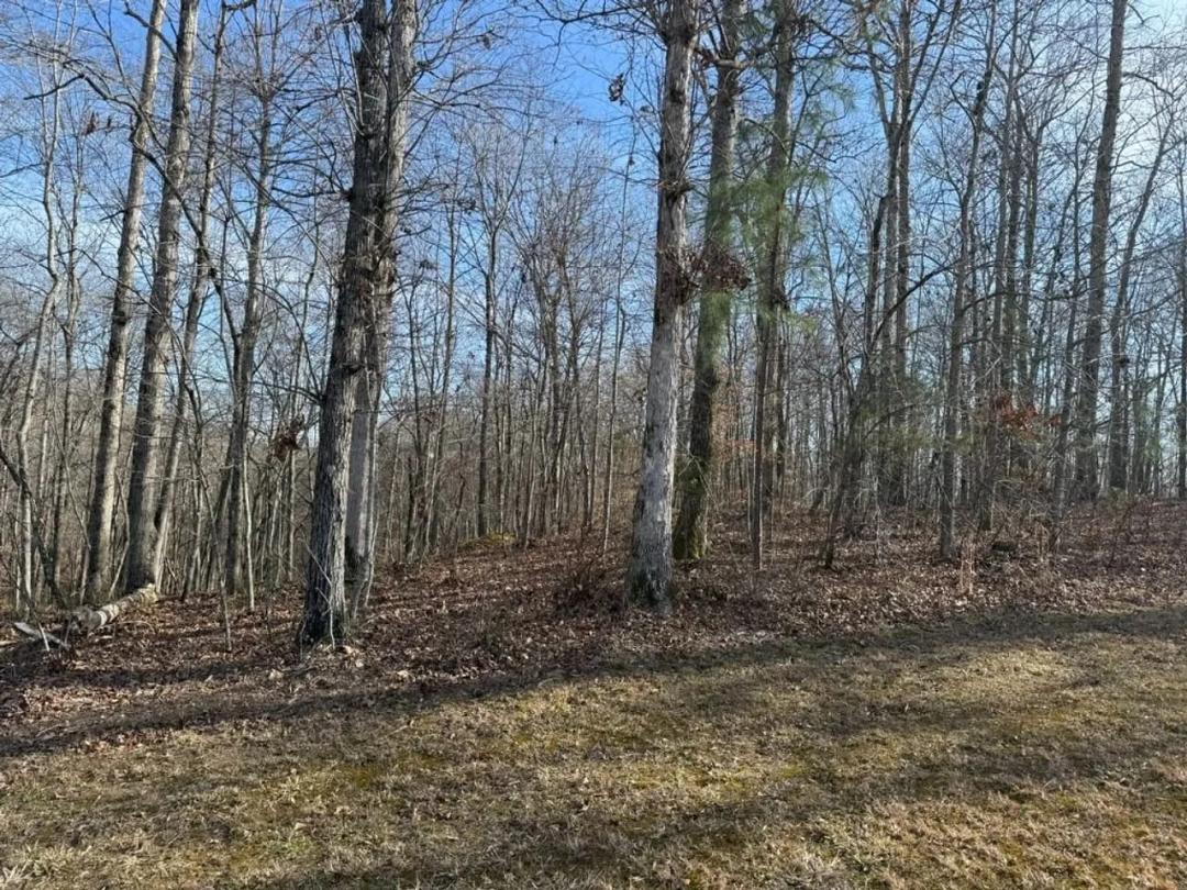 Riverwatch Trace LOT 1
