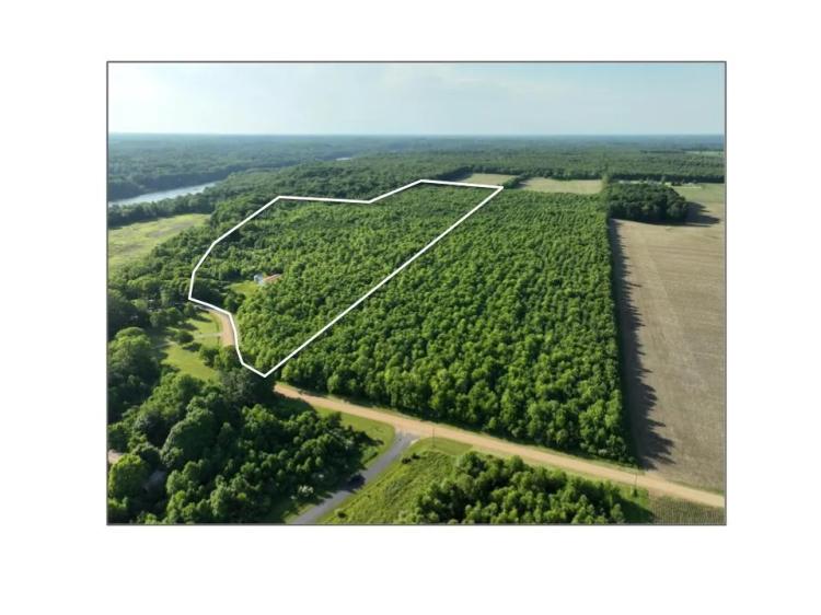 40 +/- Acres Chapin Lake Rd, Pine Tree Farm &amp; Barn