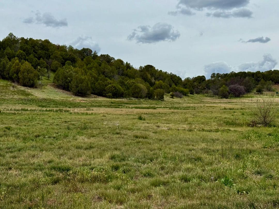 Valley View Ranch