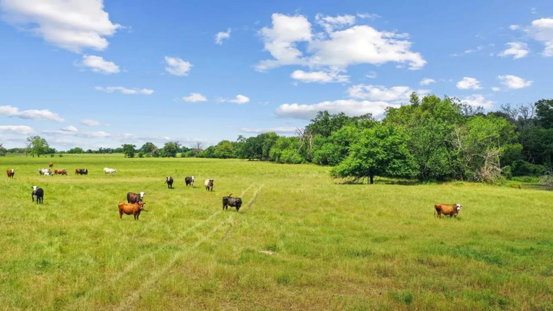 222 Lush Acres an Hour from Dallas