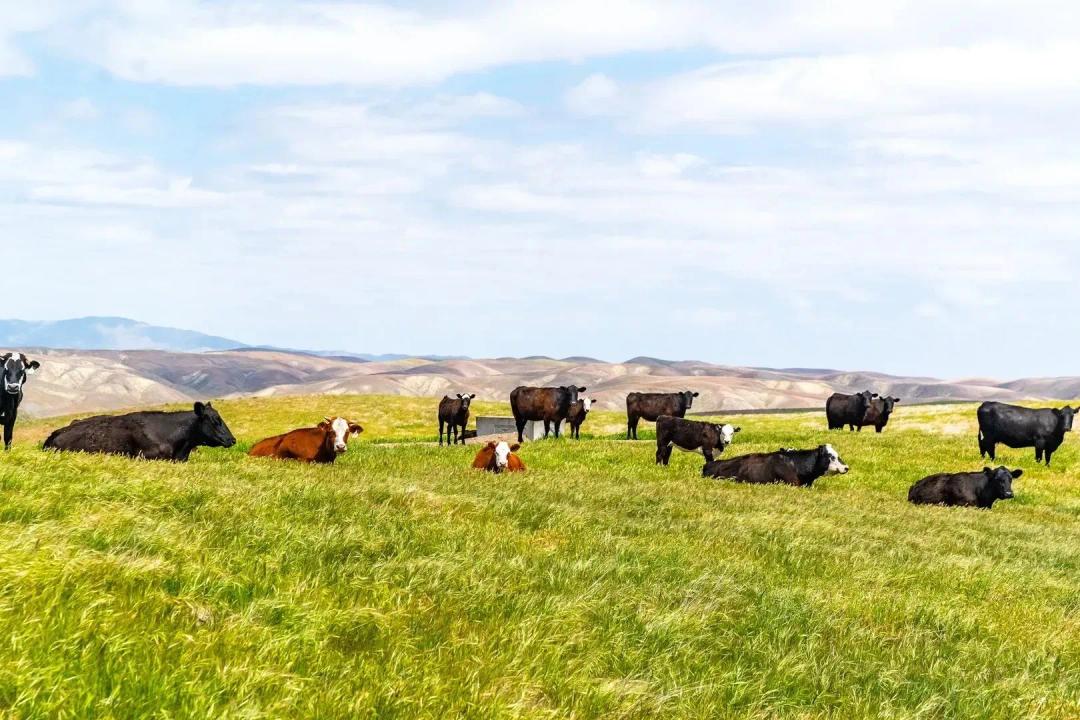 Pritchard Sumner Ranch