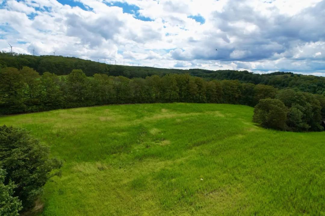 Keystone St., Somerset County - 130 +/- Acres