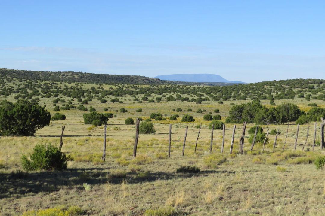 6460.00 Acres at  Off of Hwy 60 west of Qemado