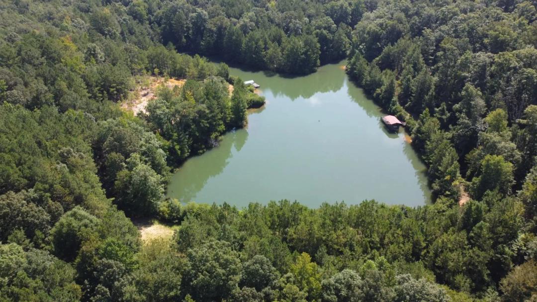 Beautiful Secluded Property With 4 Acre Pond