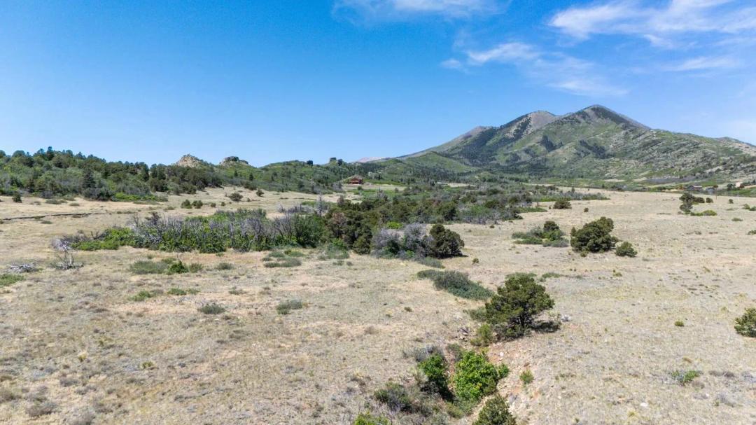 TBD Bear Springs Rd, Walsenburg, CO 81089