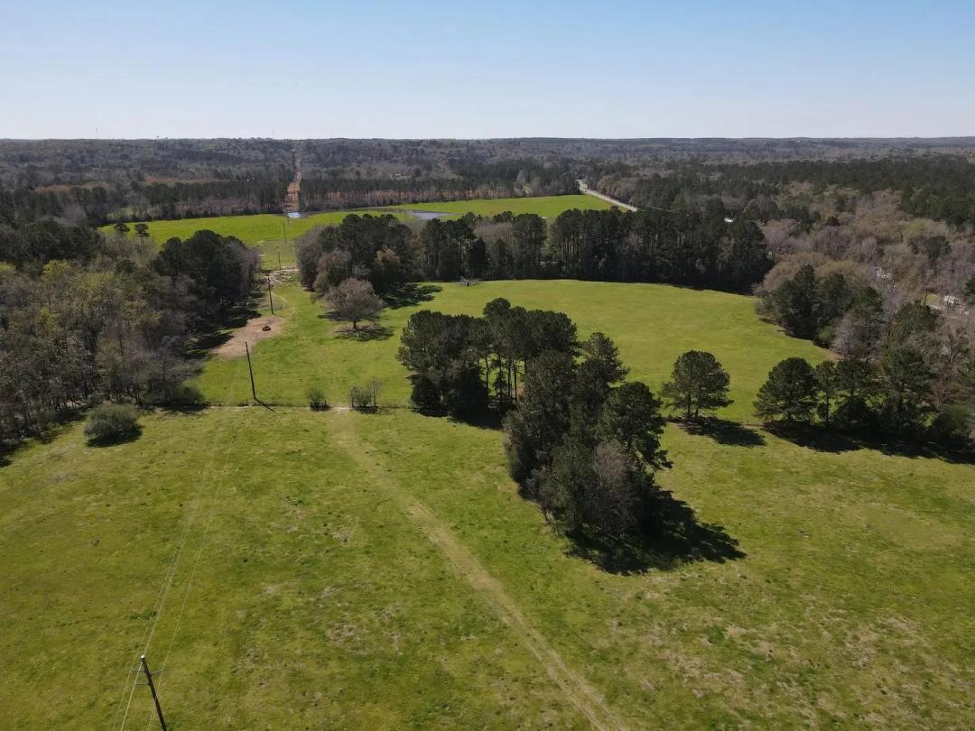 For Sale 133+/-ac acres Dale County!