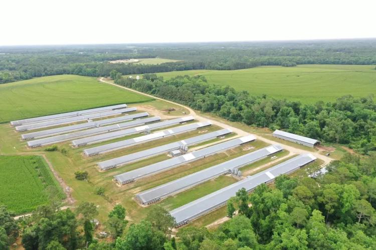 Shiloh Road Broiler Farm – Ten House Farm located in Grady County, GA