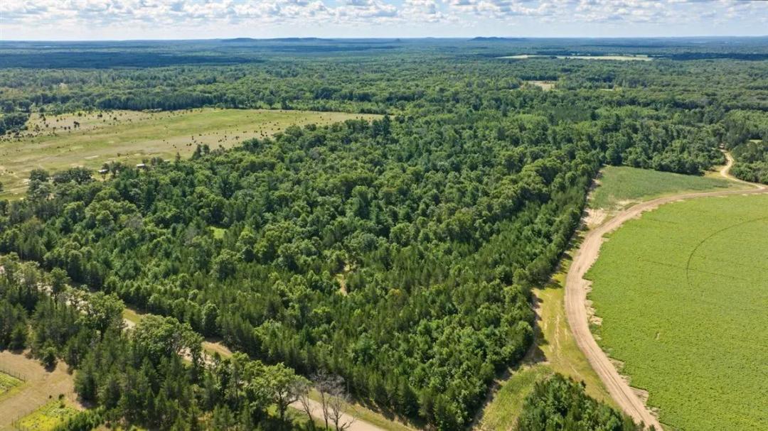 65+/- Acres of Turnkey Whitetail Country — Minutes from Castle Rock Lake