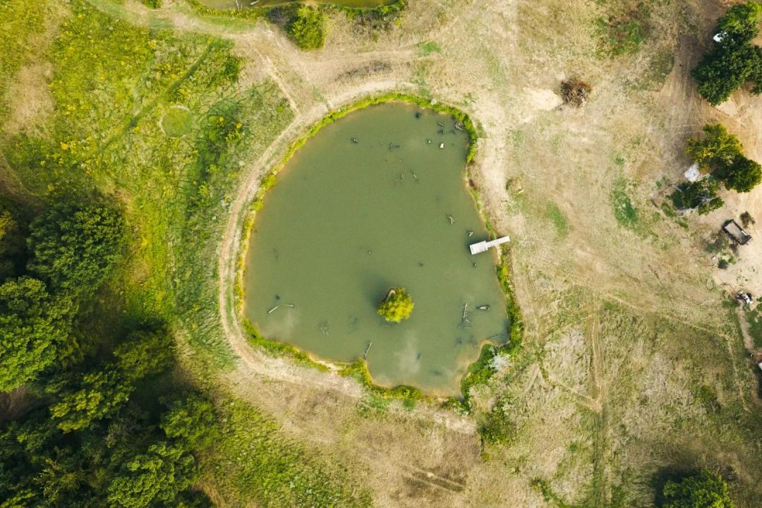 41.09 Acres with 2 Homes in Shelby County, TN 