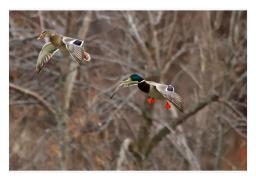 FL Land.com_Images32