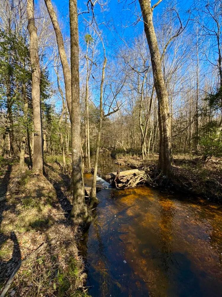 35.76 Acres at 0 S Fred Circle