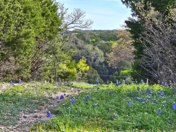 Lampasas County Land for Sale - 10 acres in Smith Ranch