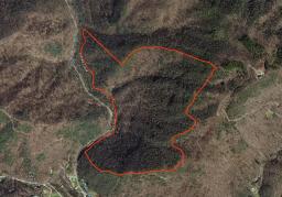 50089755-45