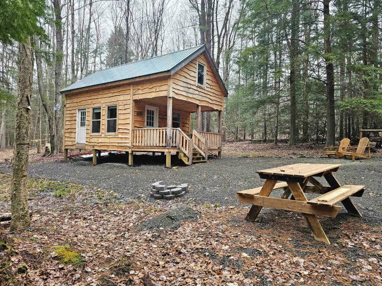 Cabin on 7 acres in Harford NY Owego Hill Road near State Forest and Greek Peak Mountain Resort