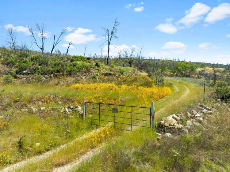 Bigfoot Ranch in Napa County