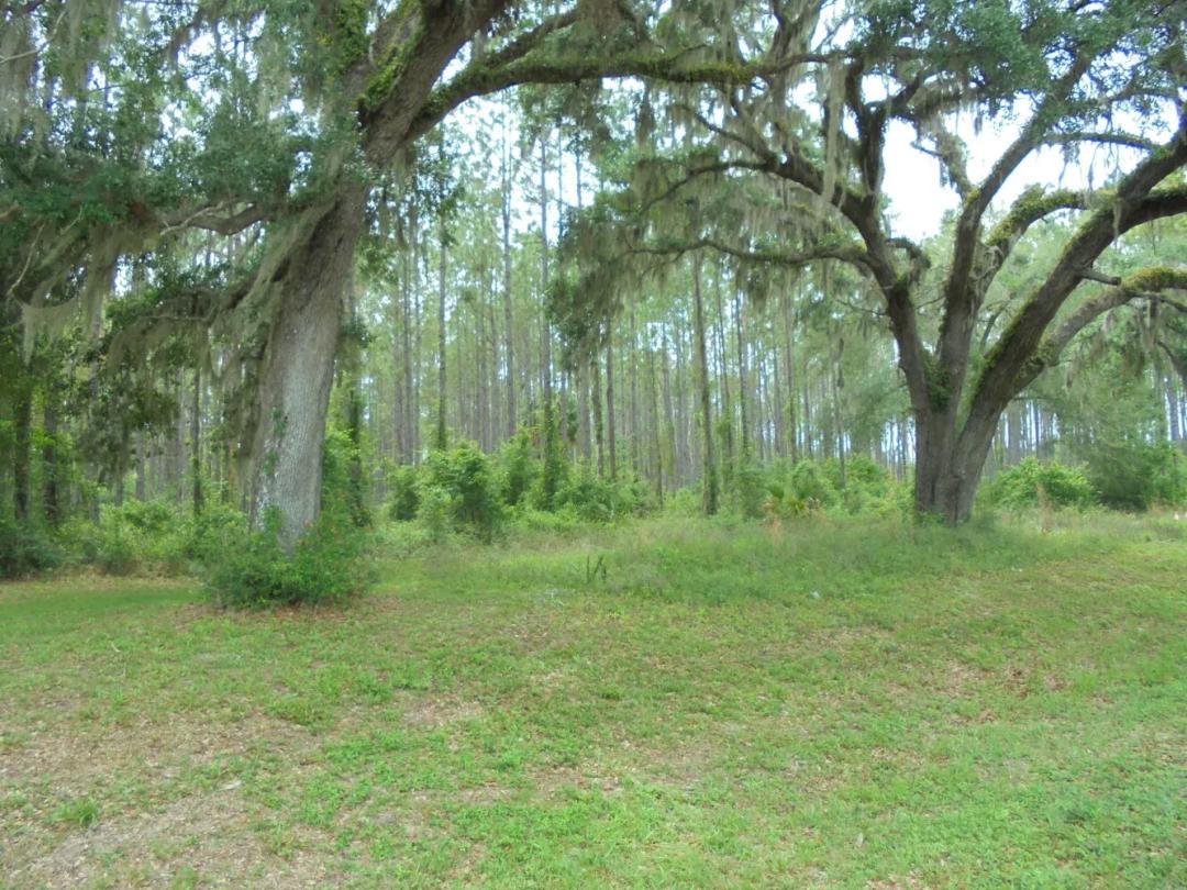 11.74 Acres at 0 US 19  S