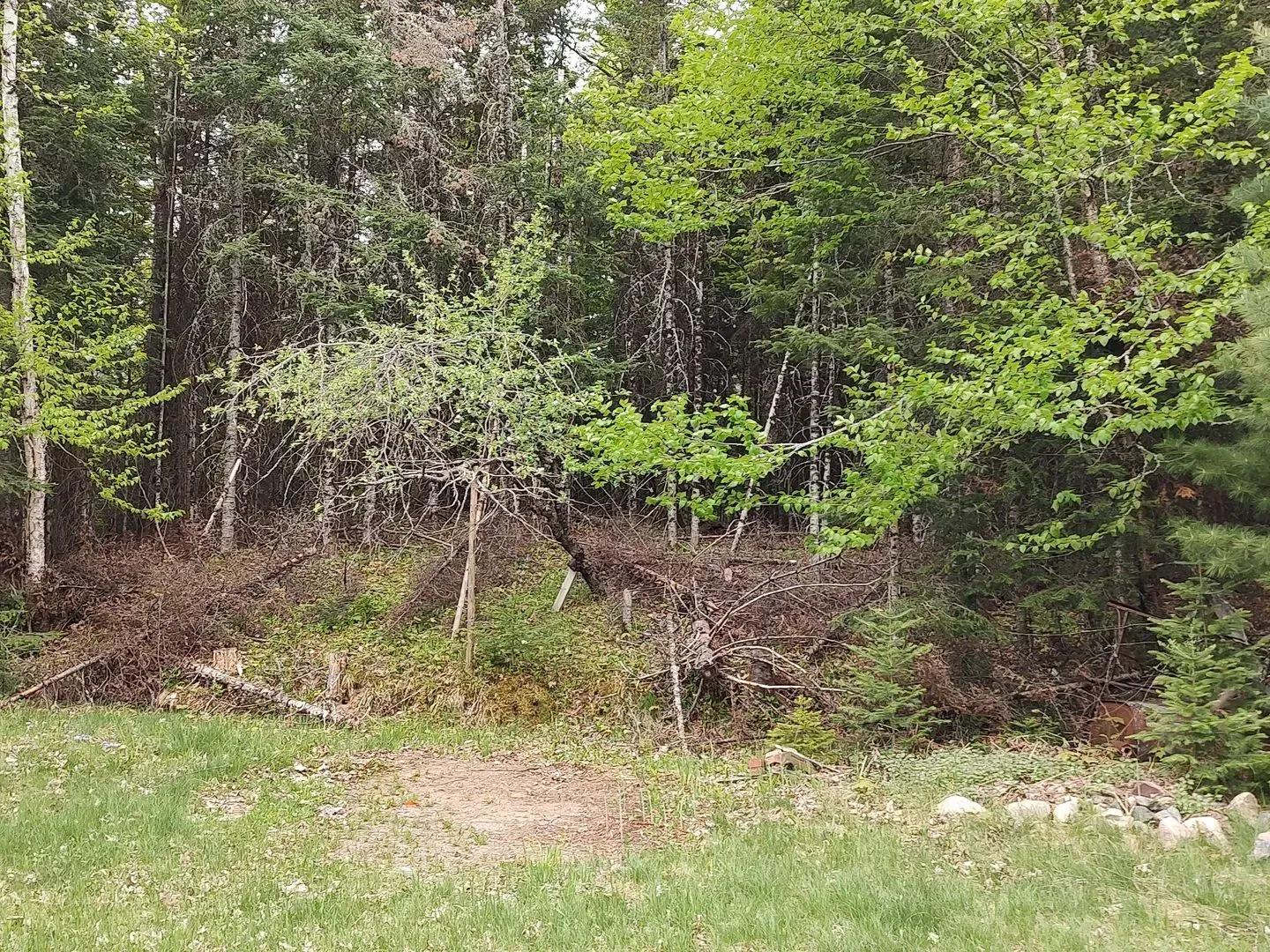 50170284-7