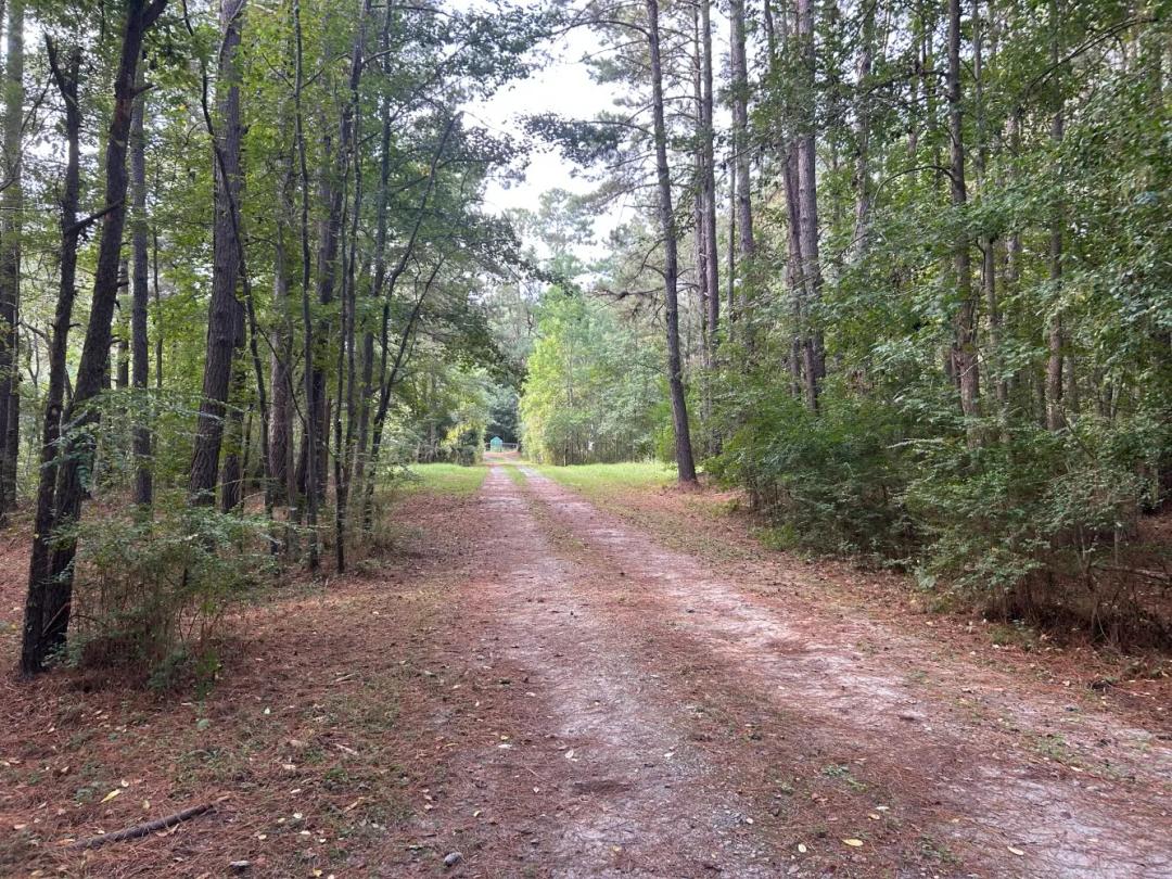 10.71 Acres at 123 Kyseth Ln