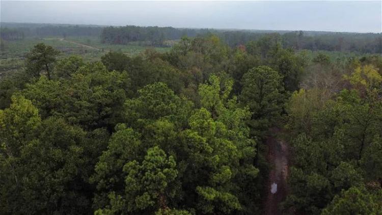 East Texas Home on 20 Acres of Land