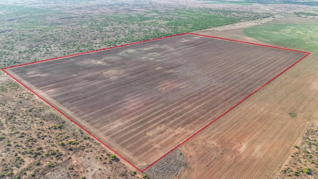 160 Acres of Productive Dryland Farm Ground in Northern Childress County | Cotton & Wheat Production | County Road Access