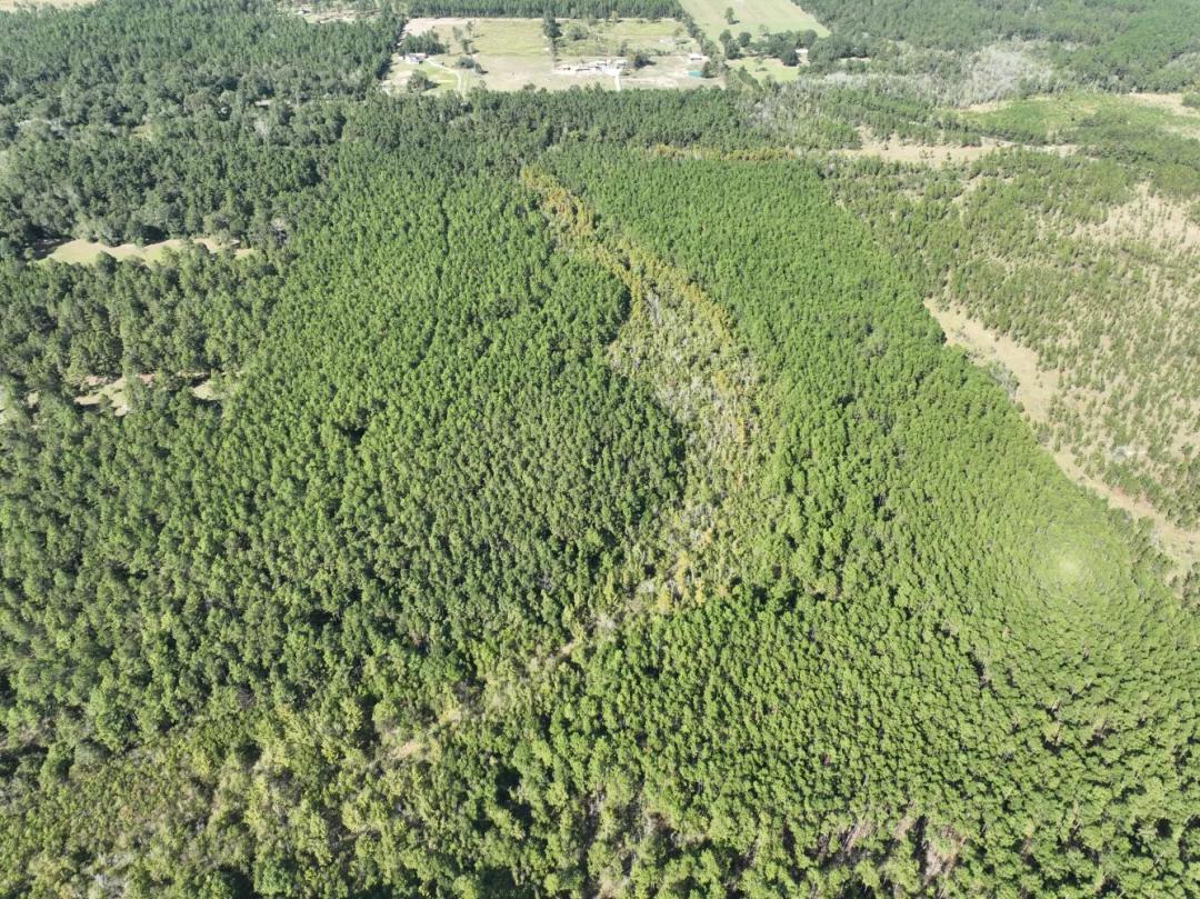 160.00 Acres at  O Allen Cole Road
