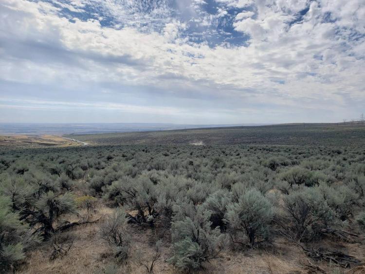 21.62 Acres for Sale. Banks Lake/Coulee City Area