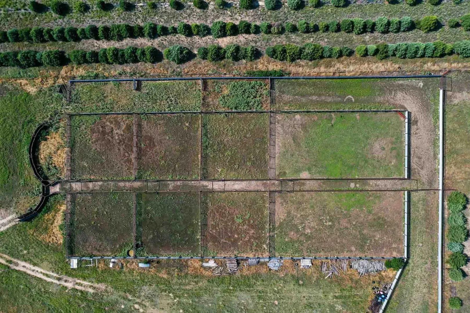 50251119-5