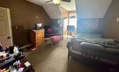 50254063-20