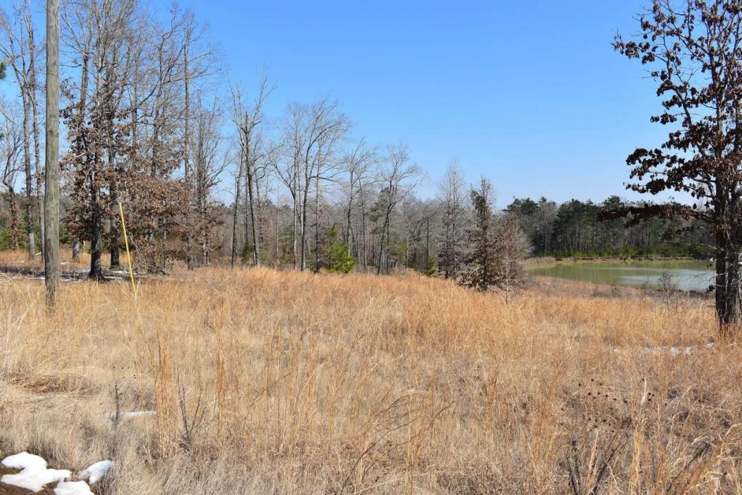 New Mineral Springs Addition North