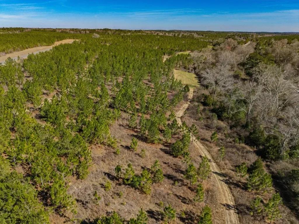 DJI_20250221144920_0230_D