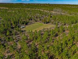 DJI_20250221145302_0254_D