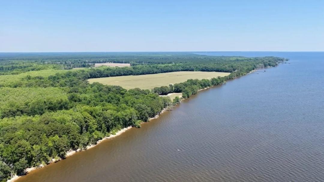 963.82 acres of Waterfront Farmland, Timberland, and Investment Land For Sale in Chowan County NC! 
