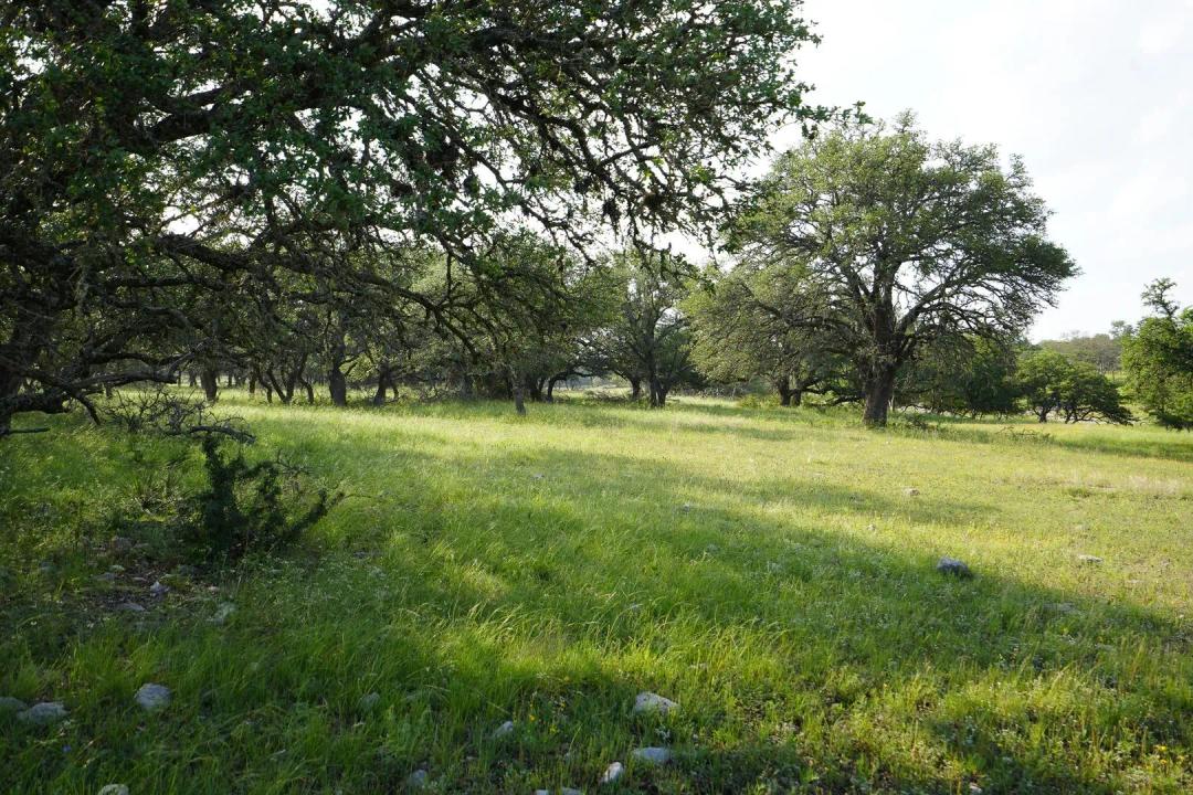 Kensing Road Ranch