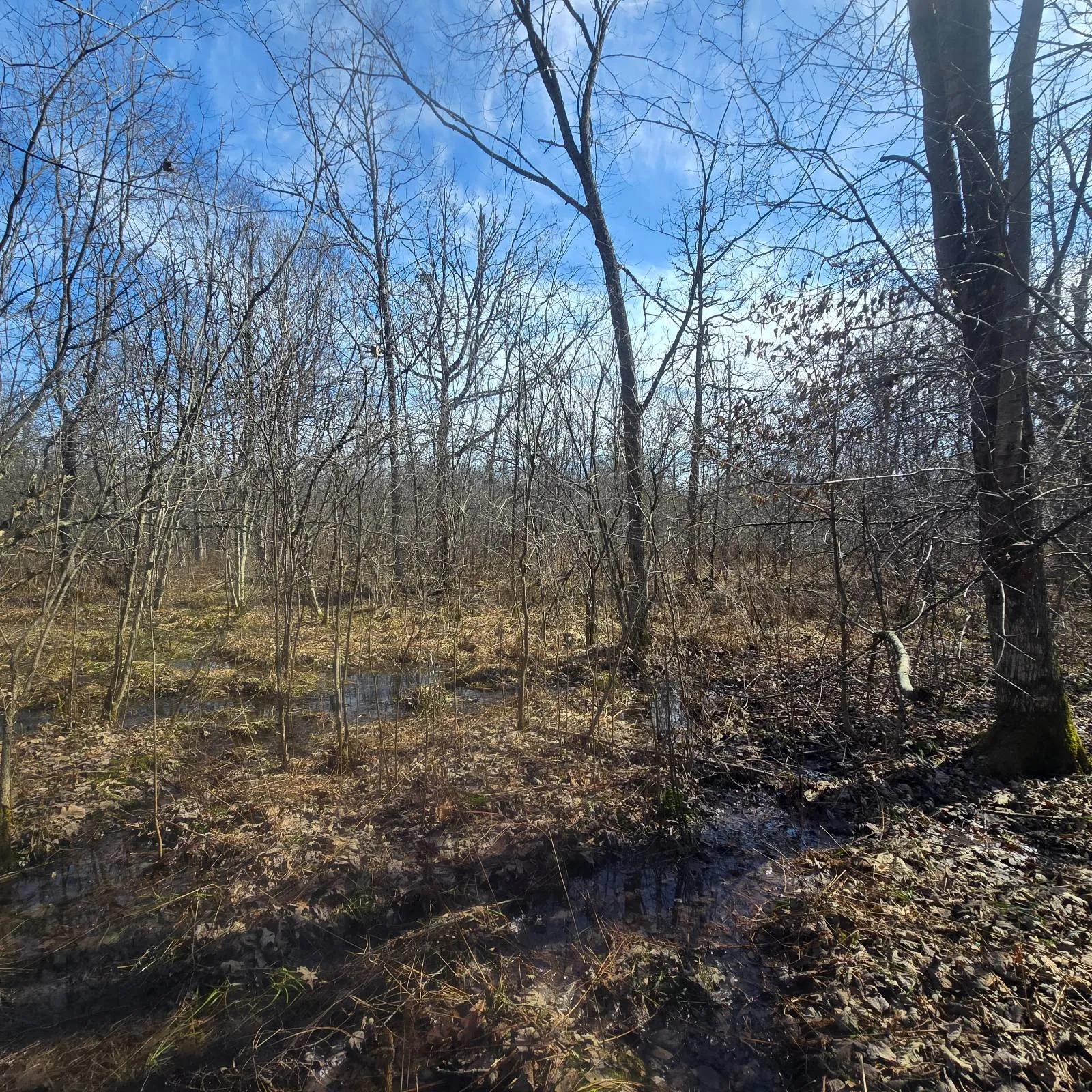 50316268-12