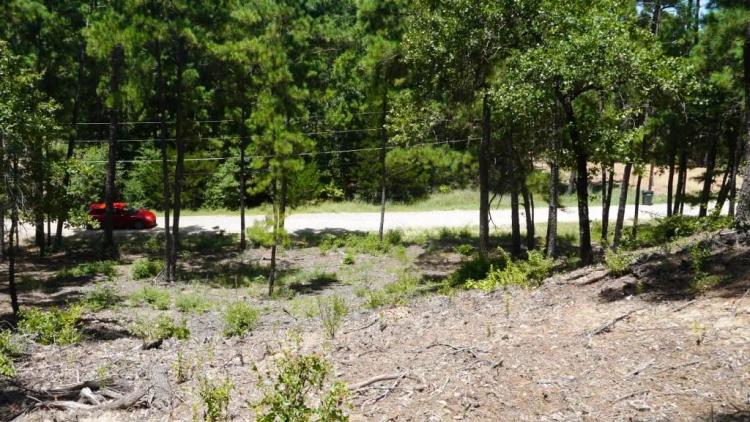 Hot Growth Area - Bastrop Texas - 2 Adjoining Residential Building Lots