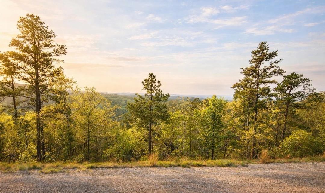 4.50 Acres at Lot 27 Sky View