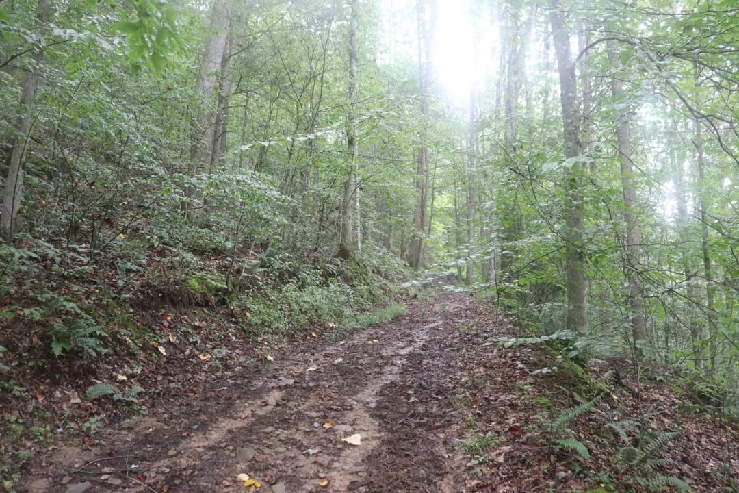 Recreational Property in Clay County