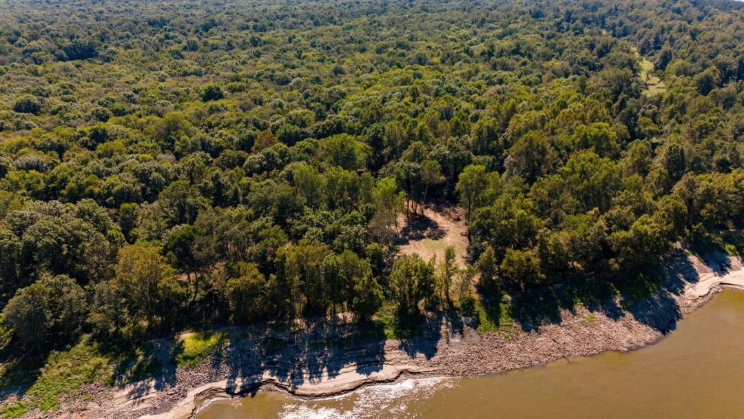 Mississippi River Duck and Deer Hunting With Camp Site in Wilkinson County