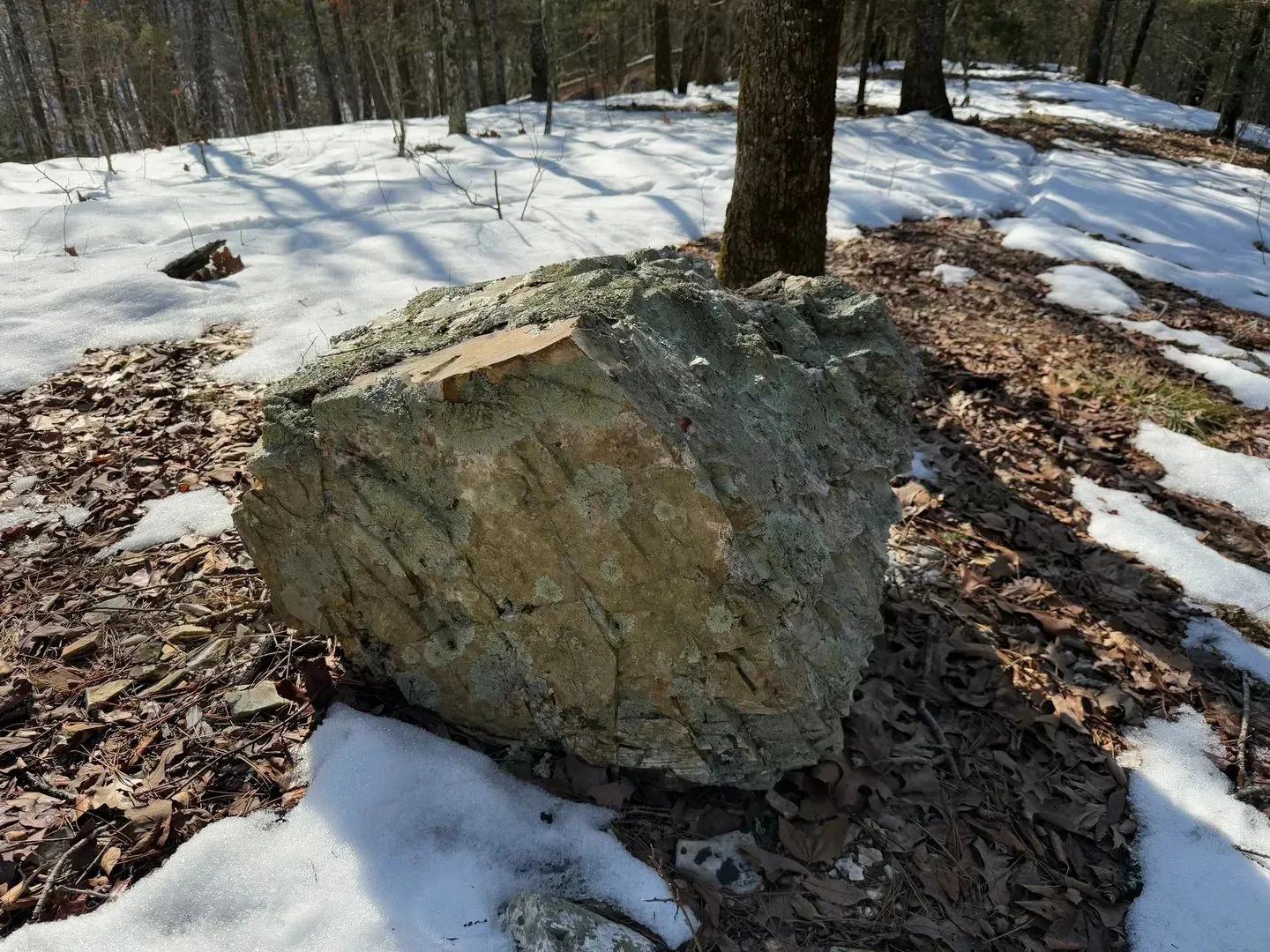 50338913-16