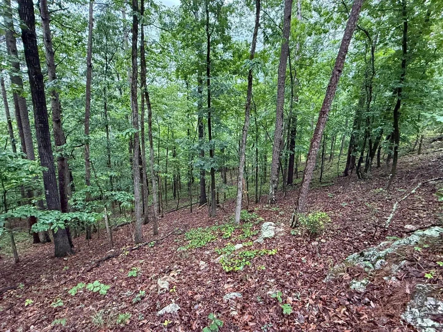 50338913-31