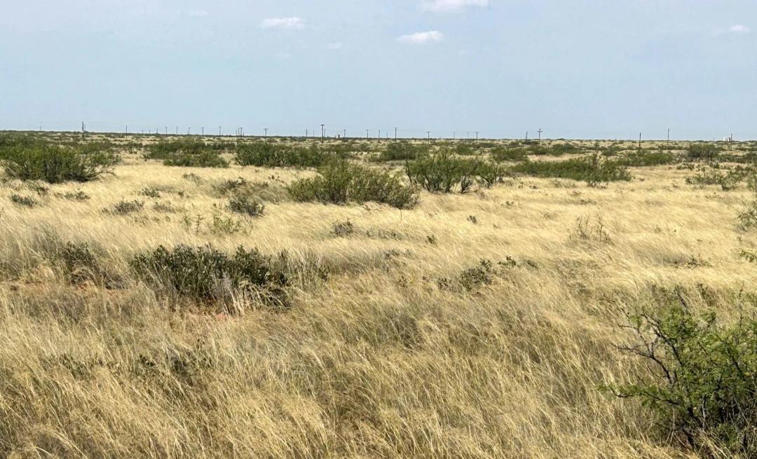DASCO Cattle Company, LLC Ranch